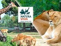 Parco Natura Viva